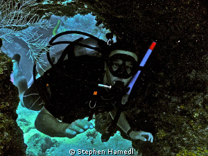 Pennekamp State Park by Stephen Hamedl 